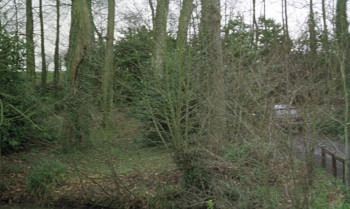 The Ceremony (1995) download