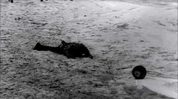 La muerte silba un blues (1964) download