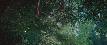 La Patasola (2024) download