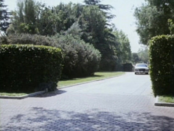 Lady Mobster (1988) download