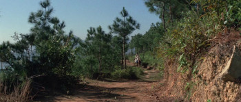 Lady with a Sword (1971) download