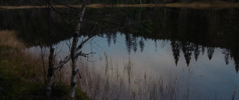 Lake of Death (2019) download