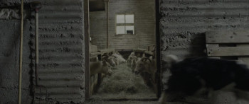 Lamb (2021) download