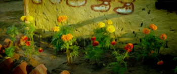 Laung Laachi (2018) download