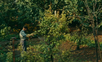 Happiness (1965) download