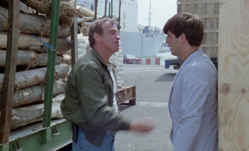 The Outsider (1983) download