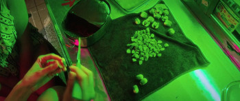 Left-Handed Girl (2025) download