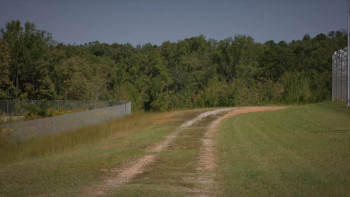 Legal Action (2018) download