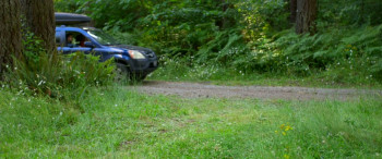 Legend of the Forest (2025) download