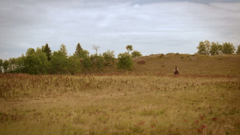 Legends of the Pony Express (2024) download