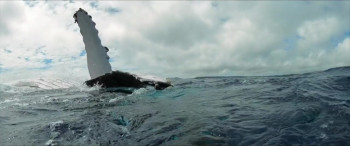 Les gardiennes de la planète (2023) download