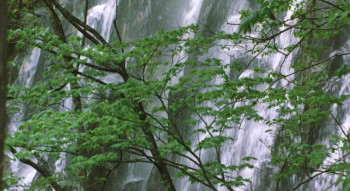 Letter from the Mountain (2002) download