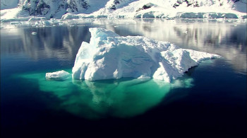 Life 2,000 Meters Under the Sea (2014) download