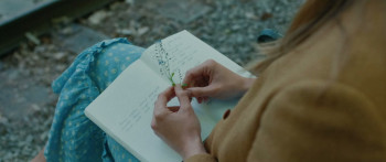 Life and Love (2024) download