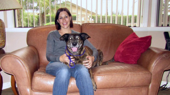 Life·Love·Dogs (2019) download