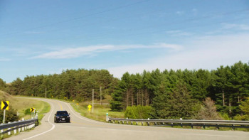 Life with Luca (2023) download