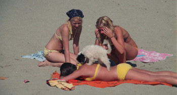 Lifeguard (1976) download