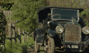 Lilies Not for Me (2024) download