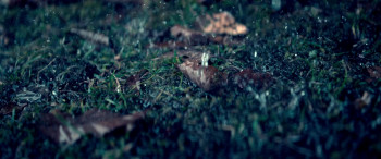 Listen to the Universe (2019) download