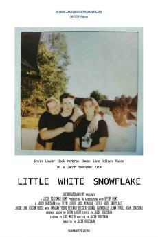 Little White Snowflake (2020) download