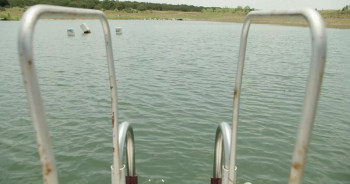 Lone Star Shark (2025) download