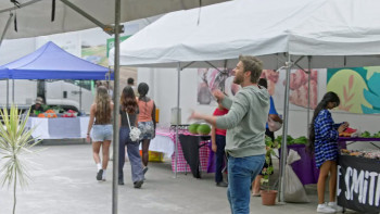 Lost in Paradise (2026) download