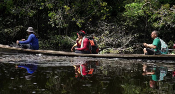 Lost in the Amazon (2024) download