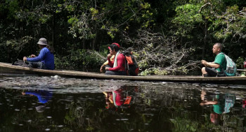 Lost in the Jungle (2025) download