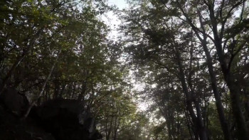 L'oste a pedali (2025) download