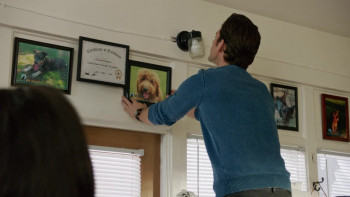 Love at First Bark (2017) download