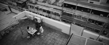 Love at First Lie (2023) download