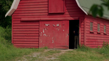 Love at the Bootcamp (2024) download