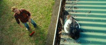 Love Birds (2011) download