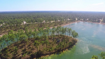 Love Map (2021) download