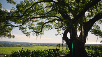 Love of an Icon: The Legend of Crocodile Dundee (2025) download