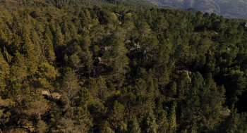 Lovely, Dark, and Deep (2023) download