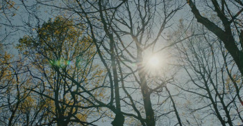 The Man on the Road (2022) download