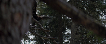 Luzifer (2021) download