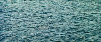 Mad Dog Morgan (1976) download