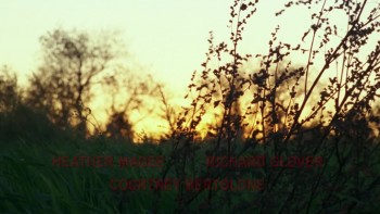 Malevolence (2003) download