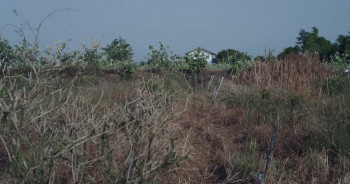 Malila: The Farewell Flower (2017) download