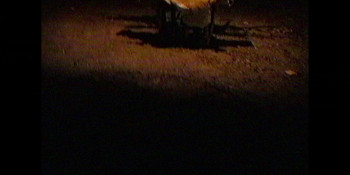 Malum (2023) download