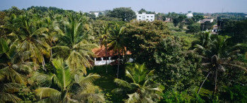 Manada Kadalu (2025) download