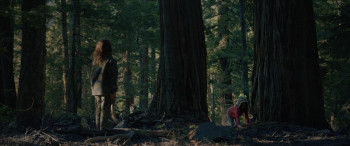 Manifest West (2022) download