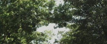 Manos Brujas (2023) download