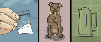 Marching Powder (2025) download