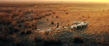 Wu shuang Hua Mulan (2020) download