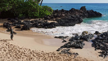 Maui Shark Mystery (2022) download