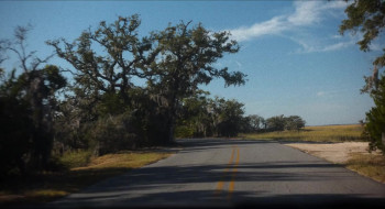 May December (2023) download