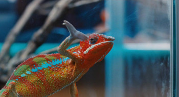 Me and You (2012) download